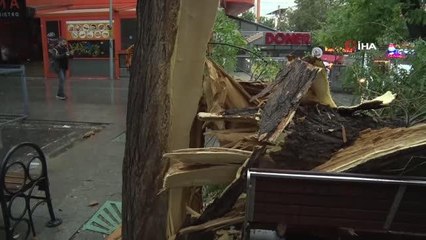 Başkentte fırtına ağaçları devirdi, yol kapandı