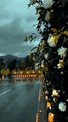 Teri yaddon..........#reelitfeelit #newreel#dailyposter#followme❤