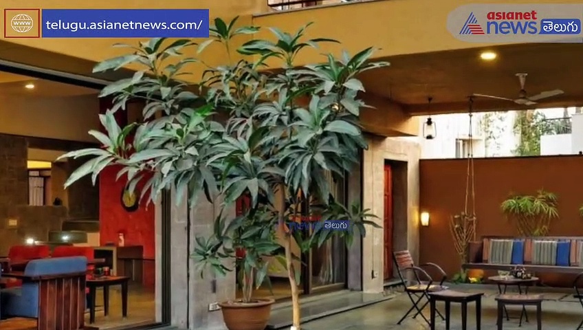 బెడ్ రూమ్ కోసం ప్రత్యేకమైన కలర్స్, ఈ కాంబినేషన్ గనుక వేస్తే...