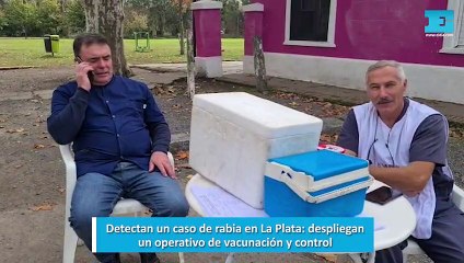 Detectan un caso de rabia en La Plata: despliegan un operativo de vacunación y control