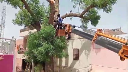 मकान पर गिरा पेड़, घर में मौजूद थे पांच लोग, किसी को खरोंच तक नहीं