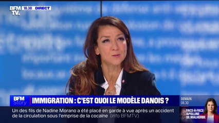 Immigration: "Quand on est en situation irrégulière et qu'on commet un délit, on doit partir" pour Sabrina Agresti-Roubache (Renaissance)