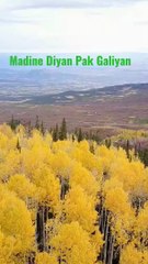 %23Naat_-_Madine_Diyan_Pak_Galiyan%23_Youtube_shorts_with_lyrics%23Shorts_with_lyrics%23Shorts%23Youtube%23(720p)