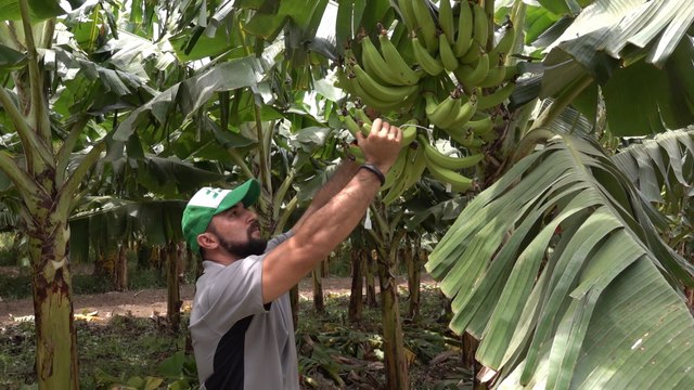 Rivas: productores listos para el Ciclo de Primera