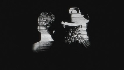 Brothers Osborne - Rollercoaster (Forever And A Day) (Visualizer)