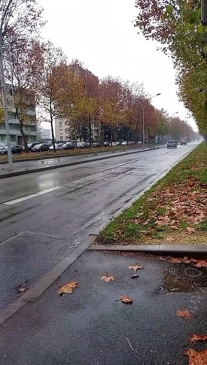 The RAIN