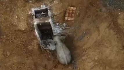Baby elephant rescued after falling down 8ft well on Thai golf course