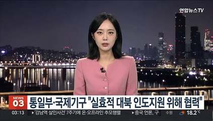 통일부·국제기구 "신속·실효적 대북 인도지원 위해 협력"