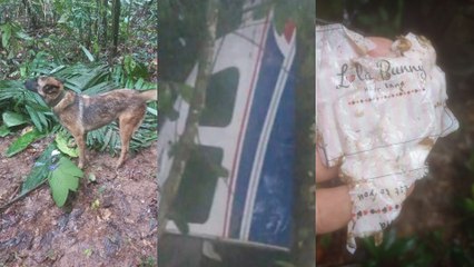 Hallan con vida a los cuatro niños desparecidos tras el choque de una avioneta