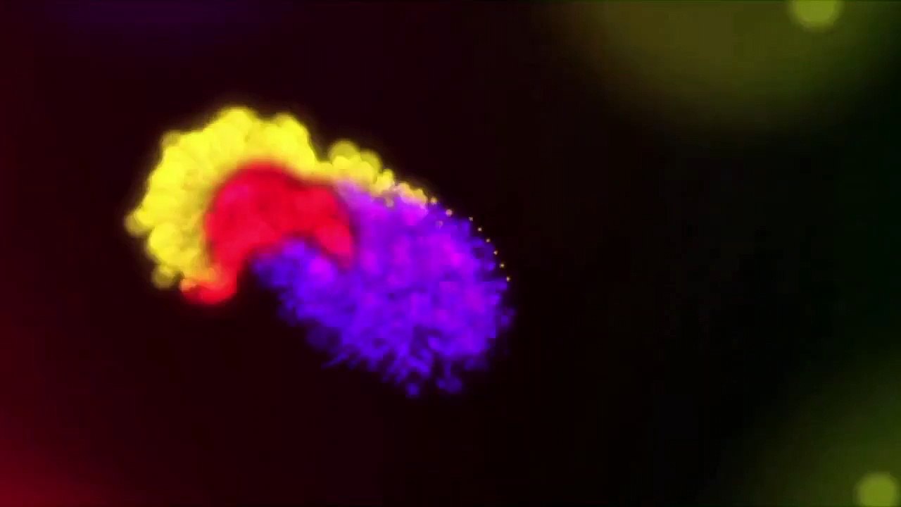 Frightmare | movie | 1974 | Official Trailer