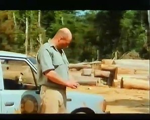 African Timber | movie | 1989 | Official Trailer