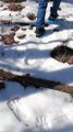 Snow Stamper Bear Feet - bear feet snow toys by Wishbone Canada