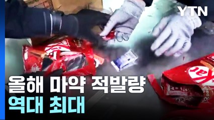 올해 마약 적발량 213kg '역대 최대'..."국경단계 적발 주력" / YTN