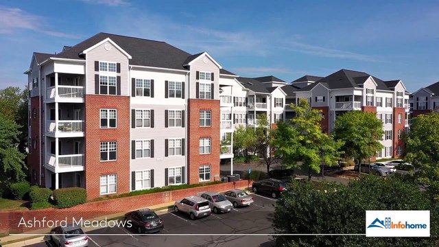 Ashford Meadows: Contact, Pricing, Location, Apartment Features & More