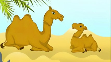 एक ऊँटनी के बच्चे ने अपनी मां से पूछा की..??|| Cartoon story in Hindi || Moral story || Animated cartoon ,short story in hindi