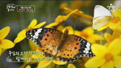 [예고] ★내 단짝 친구를 소개합니다★ 찐친들과 떠난 고두심의 특별한 여행