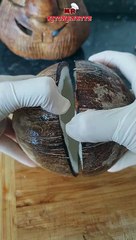 Coconut hack:  A Viral Century-Old Secret Revealed!: Coconut Flesh Removal Technique : #shorts