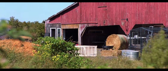 Sparkle A Unicorn Tale Trailer