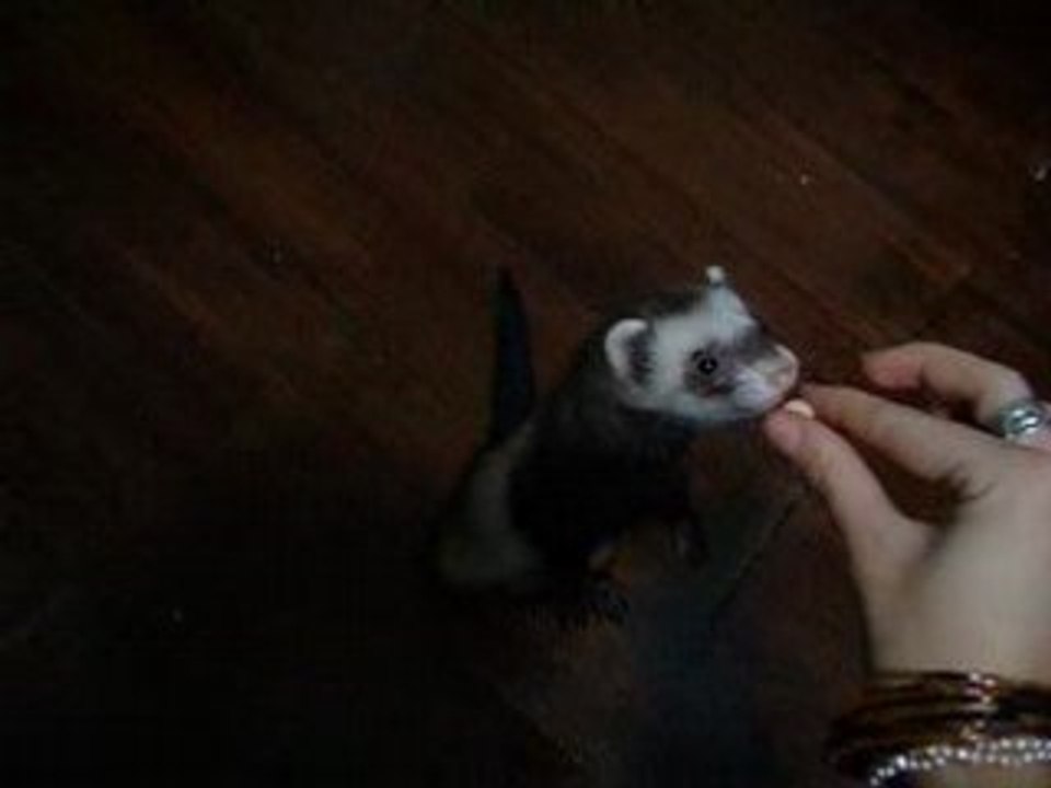 Entrainement petit tour 4