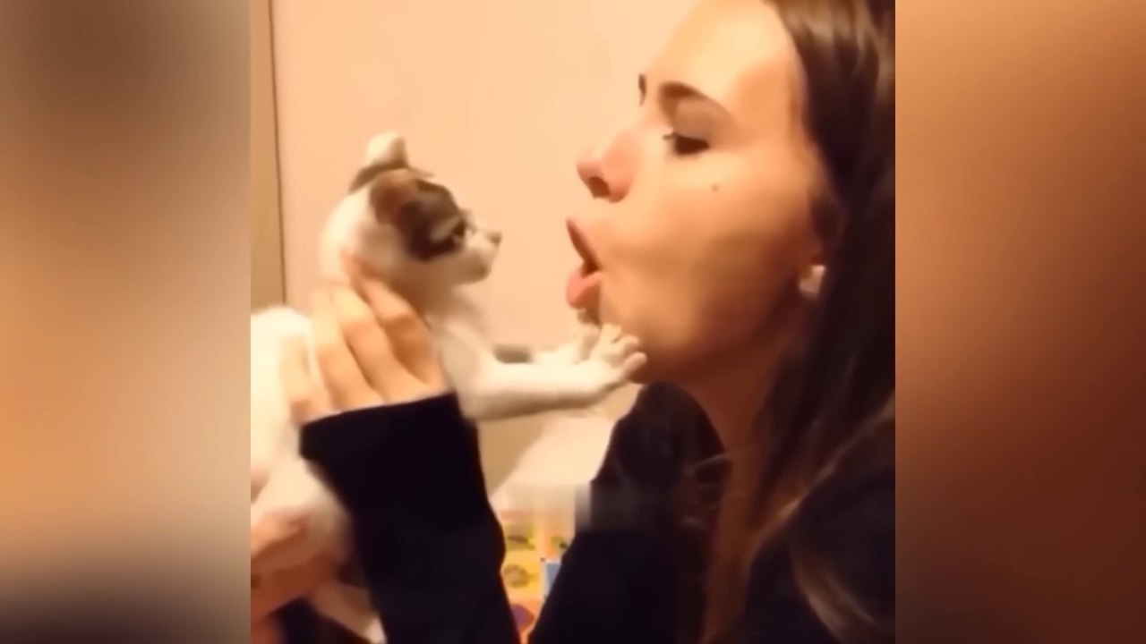 Funniest Animals 2023  Best Funny Cats and Dogs