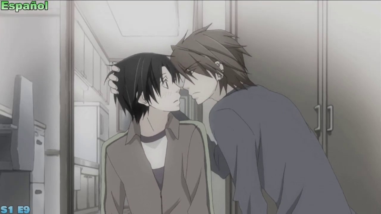 Sekai Ichi Hatsukoi (Temporada 1, Episodio 9)