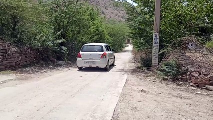 सड़क किनारे विलायती बबूल राह में बने अड़चन