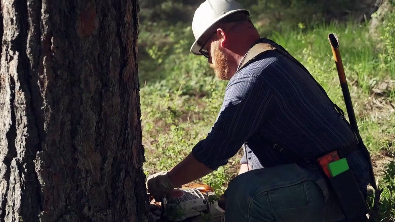 Spaltung im US-Bundesstaat Oregon - gibt es bald "Greater Idaho"?
