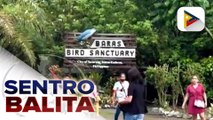 Pagdiriwang ng ika-pitong Bird Festival ng Tacurong, naging makulay