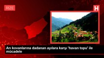 Arı kovanlarına dadanan ayılara karşı 'havan topu' ile mücadele