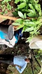 बड़ी खबर : अवैध शराब बनाने के अड्डे पर पुलिस का छापा