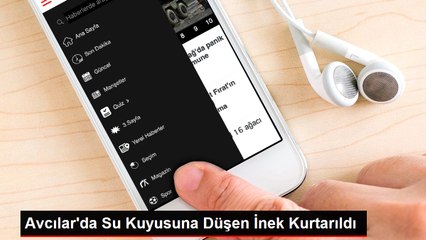 Avcılar'da Su Kuyusuna Düşen İnek Kurtarıldı