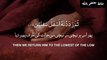 Surah Al-Tin ( The Fig ) With Urdu Translation __ Heart Touching Voice __ Holy Quran Recitation