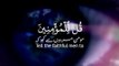 Surah An-Noor Ayat - 30 -- Peaceful Voice -- Islamic Status -- Tilawat e Quran -- Quran Shorts