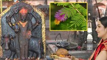 Shani Jayanti 2023 Puja Samagri: शनि जयंती पूजा में क्या क्या सामान लगता है | शनि जयंती पूजा सामग्री