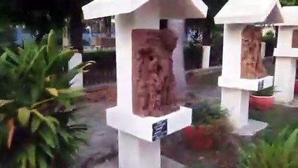 कलचुरी, गोंड और मौर्य काल के दुर्लभ अवशेष