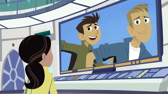 Amazing Adaptations Part 7 How Animals Survive in the Wild