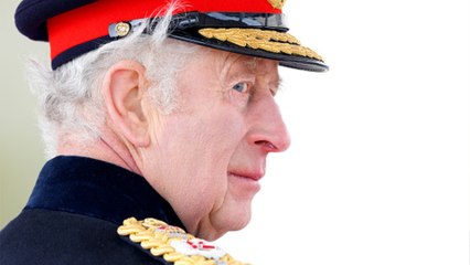 King Charles is facing a serious problem with his plan for the Royal Family