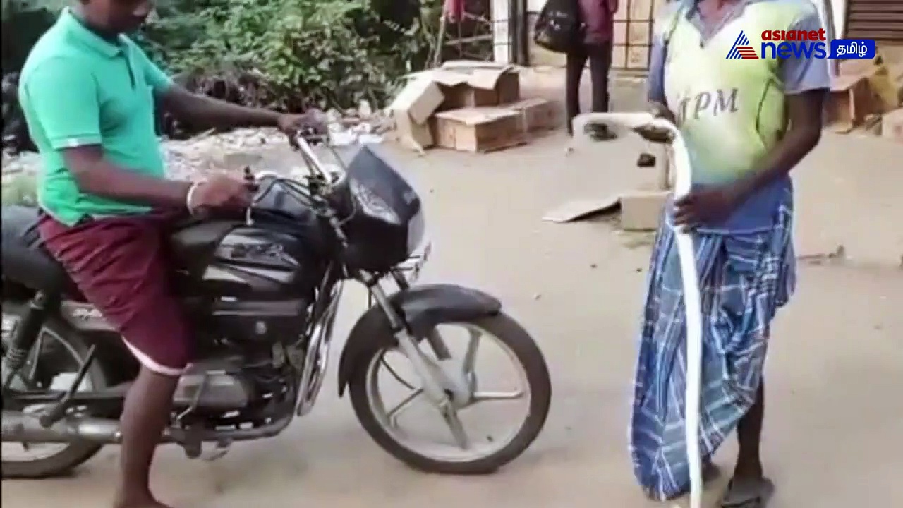 Watch : சினிமா பாணியில் பாம்பை தோளி்ல் போட்டுக்கொண்டு சரக்கடிக்க வந்த முதியவர்!