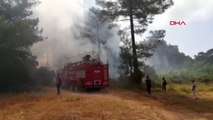 Antalya'nın Aksu ilçesinde orman yangını