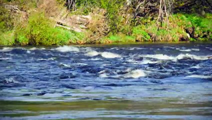 Grand Tours of Scotland’s Rivers episode 2