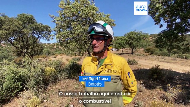 Espanha prepara-se para época de incêndios florestais