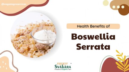 Health Benefits Of Boswellia Serrata Powder