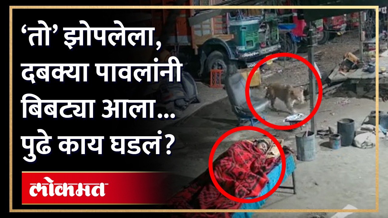 तरुण बाहेर झोपलेला, बिबट्या हळूच आला... धक्कादायक घटना सीसीटीव्हीत कैद