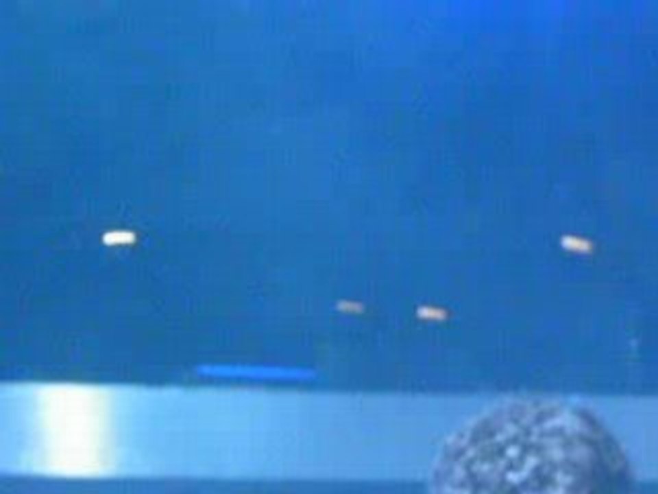 Monika kruze@fuse 2007