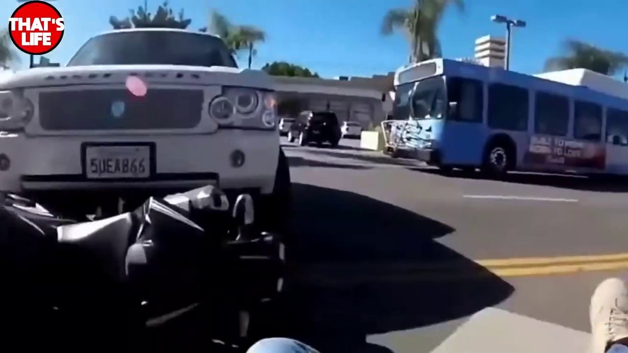 Funny Women Fails in Traffic: Hilarious Moments of Women Drivers' Skills Gone Wrong