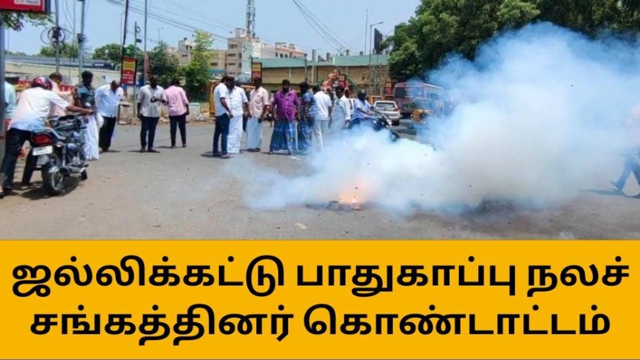 திருச்சி:உச்ச நீதிமன்ற தீர்ப்பு,ஜல்லிக்கட்டு நலச் சங்கத்தினர் கொண்டாட்டம்!