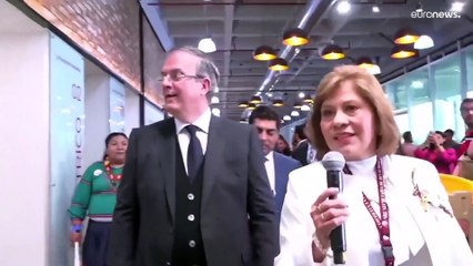 شاهد: المكسيك تصدر أول جواز سفر دون تحديد الجنس عليه