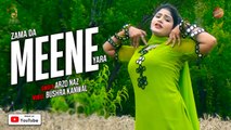 Pashto New Song 2023 | Zama Da Meene Yara | Arzo Naz