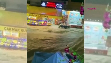 Balıkesir sele teslim oldu! Şehirde su baskınları yaşandı