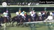 INCREDIBLE PURE WHITE RACEHORSE JAPANESE STAR SODASHIS BRILLIANT WINS